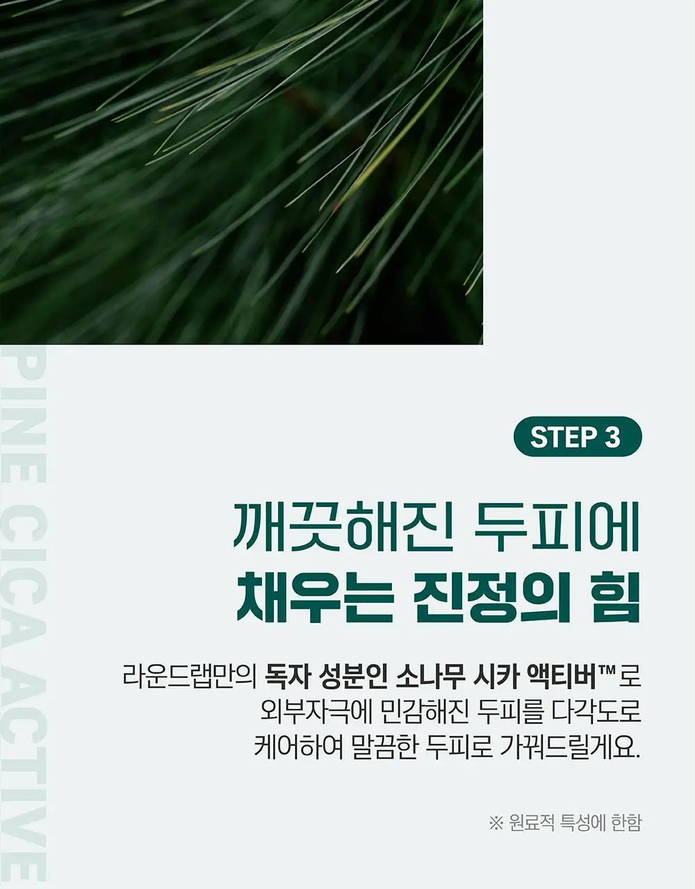 [탈모완화] 라운드랩 소나무 진정 시카 샴푸 400ml 상세페이지 13